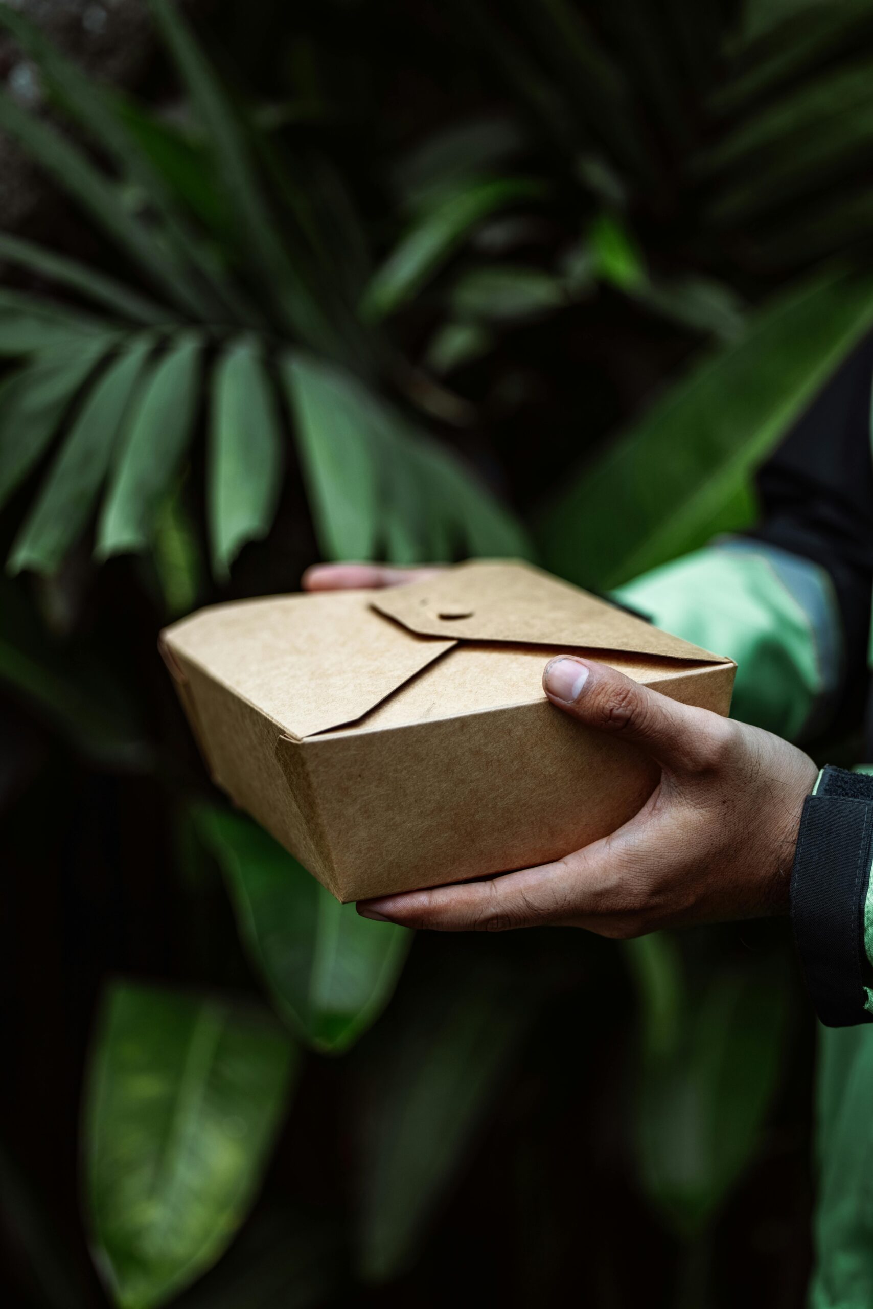 A hand holding biodegradable disposable food container.