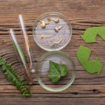 How sustainable packaging materials peserve our mother earth