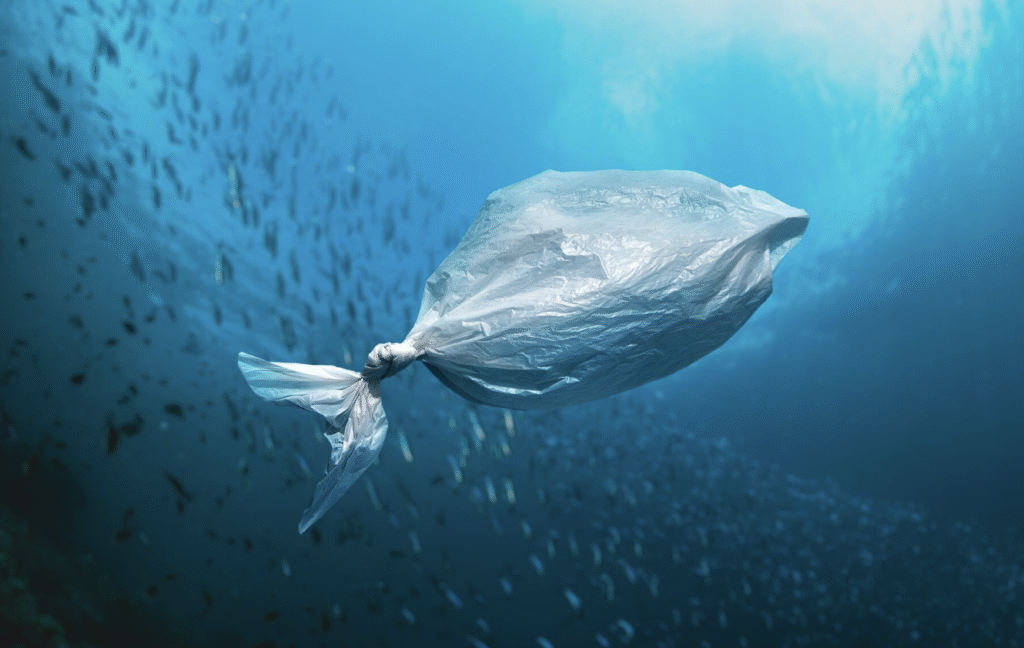 An image show the severity of plastic pollution by depicting a plastic cover as a fish inorder to promote biodegradable products