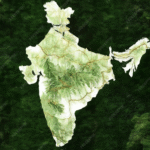 India map in green colour represents sustainable packaging angle