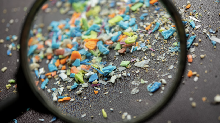 Zooming microplastics to create awareness to use biodegradable plates