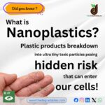 What is Nanoplastics ? Plastic product break down into ultra tiny toxic particles posing hidden risk that can enter our cells !